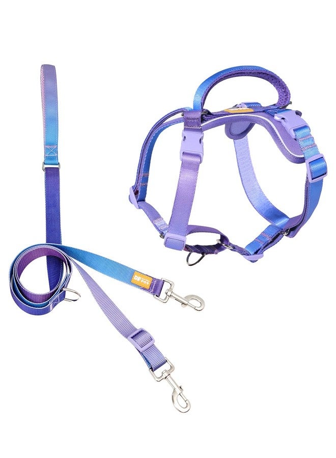 DF Freedom No Pull Martingale Dog Harness and Leash Set, Front Clip Adjustable Harness with Reflective & Padded Handle, Easy Walking & Training, Rainbow, 1", Chest 24.4" - 32.4" - Image 1